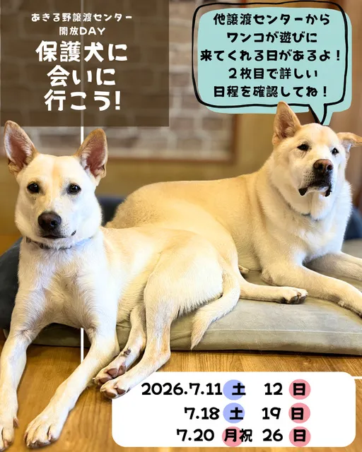 保護犬に会いに行こう！_1