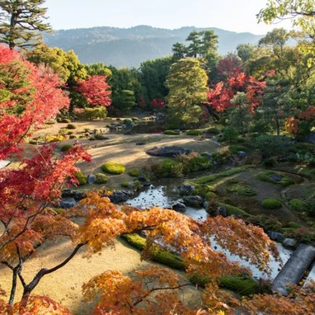 紅葉の京都　名勝庭園を二階から望むプライベート貸切カフェ_1