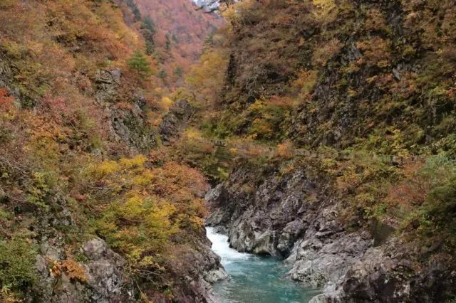 【紅葉・見ごろ】五十沢渓谷_1