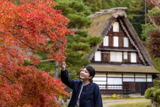 岐阜の紅葉の名所・見頃2025