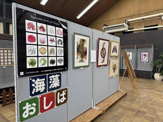 企画展「響かせよう 豊かな海の ハーモニー ～大阪湾の海藻おしば～」_1