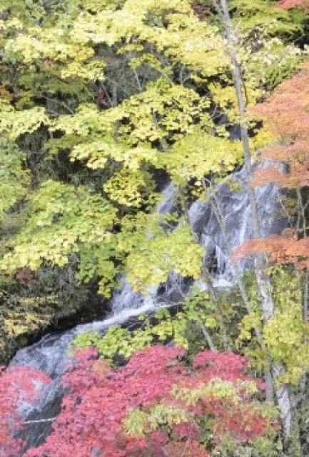 【紅葉・見ごろ】三段の滝_1