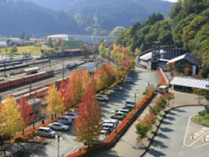 【紅葉・見ごろ】千頭駅周辺_1