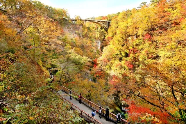 【紅葉・見ごろ】鳴子峡_1