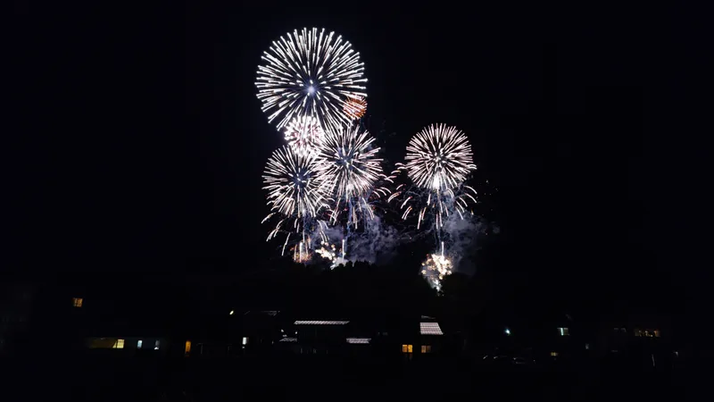 とちお祭大花火大会