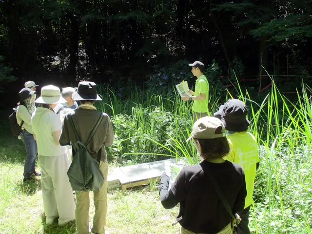 夏の風土記植物園教室　～植物園散策と健康茶づくり～_1