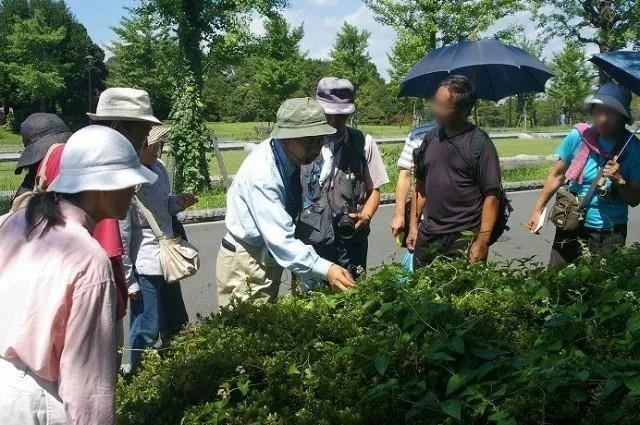 国営昭和記念公園　自然観察ツアー（10月）_1