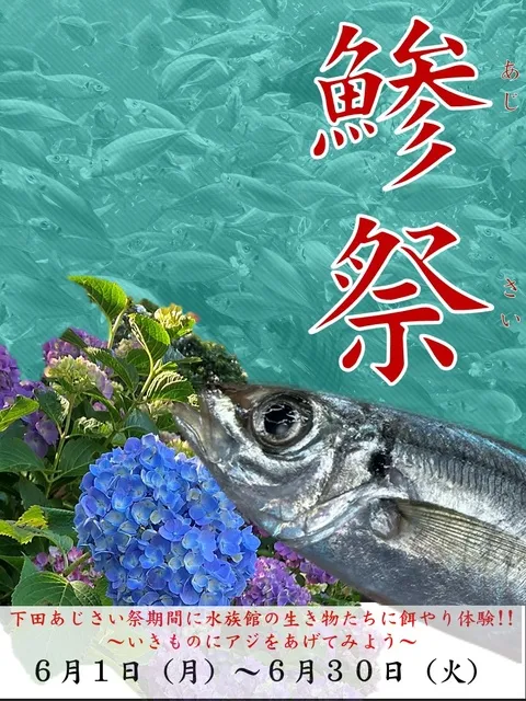 水族館でも鯵祭（あじさい）！？_1