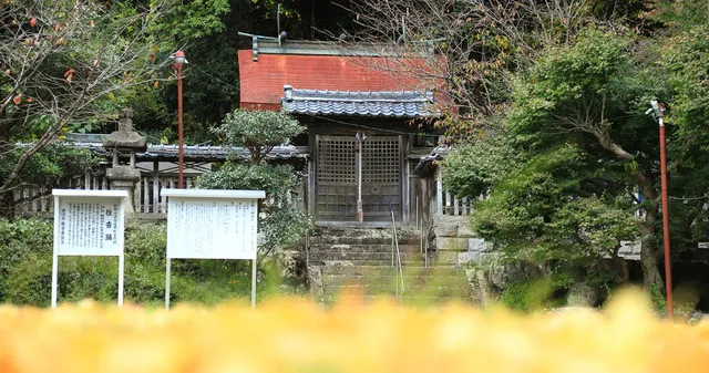 長野八幡神社例祭（住吉踊）_1