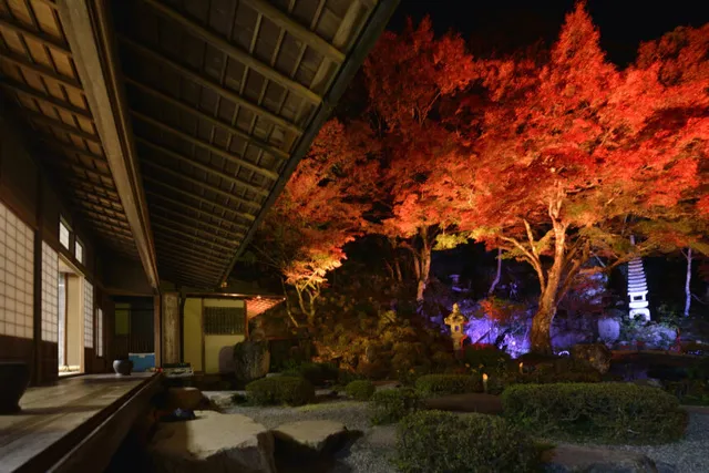 名勝 堀庭園 秋の紅葉ライトアップ_1