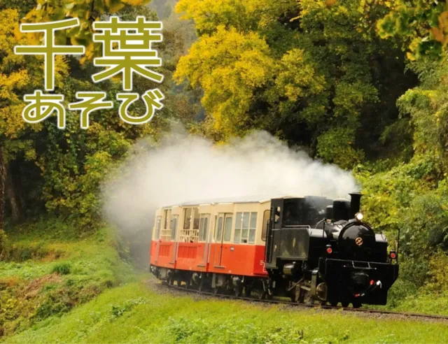 トロッコ列車で行く！ 観光ガイドと歩く紅葉の養老渓谷ハイキング_1