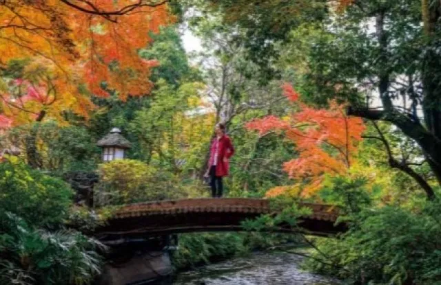 【紅葉・見ごろ】金鱗湖_1