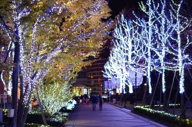徳島文理大学　イルミネーション_1