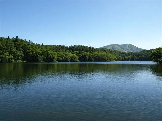 いいやま斑尾高原植樹祭2026_1
