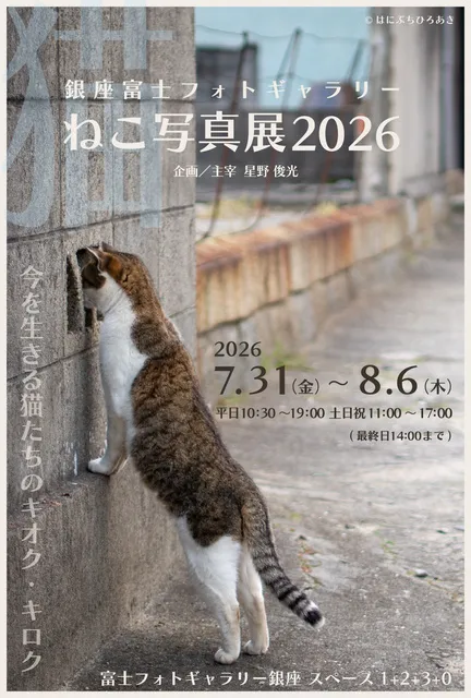 (C)サトウミキ