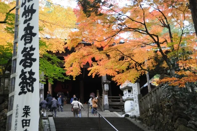 【紅葉・見ごろ】谷汲山華厳寺_1