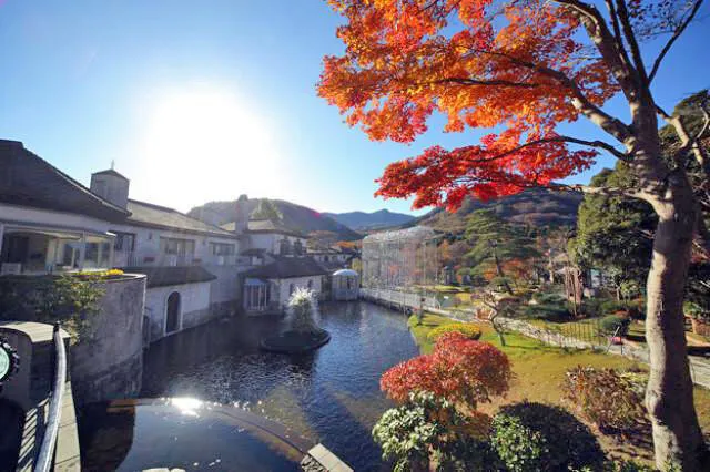 【紅葉・見ごろ】箱根ガラスの森美術館_1