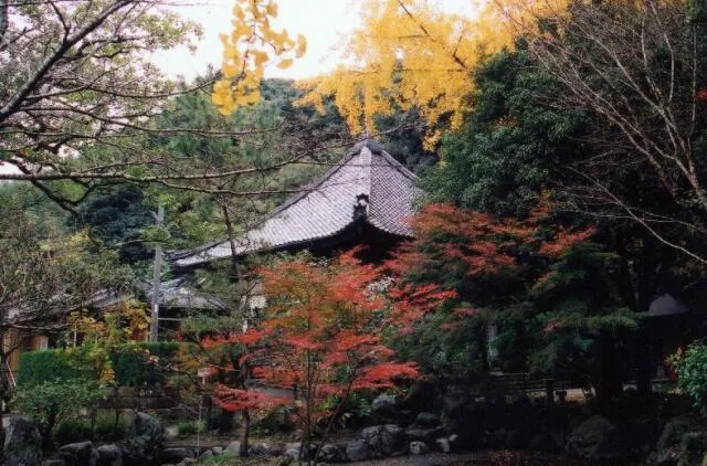 【紅葉・見ごろ】宝満寺_1