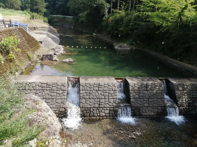 【プール】奥野河川プール_1