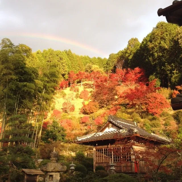 【紅葉・見ごろ】達身寺_1