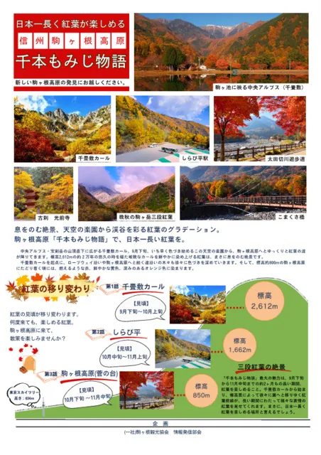 【紅葉・見ごろ】駒ヶ根高原　千本もみじ物語_1