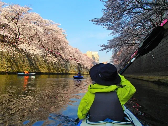 東京・目黒川「桜お花見カヌーカヤック早起きツアー」ロングクルーズ_1