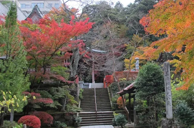 【紅葉・見ごろ】薬王院温泉寺_1