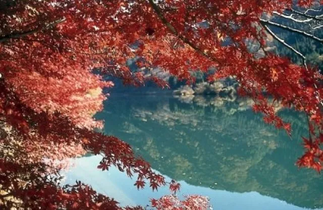 【紅葉・見ごろ】中山七里_1
