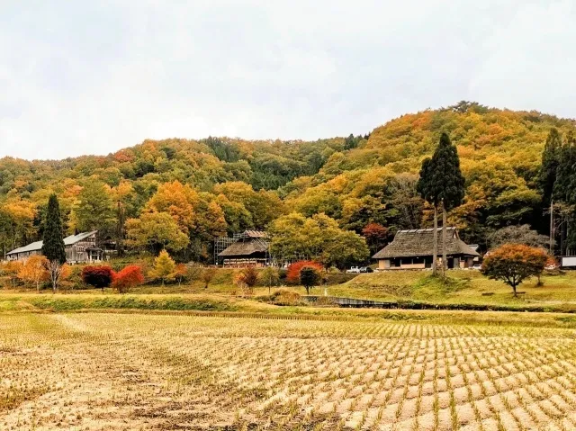 【紅葉・見ごろ】赤和瀬渓谷・うたたねの里_1
