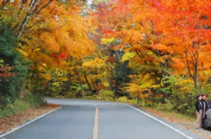 【紅葉・見ごろ】日塩もみじライン_1