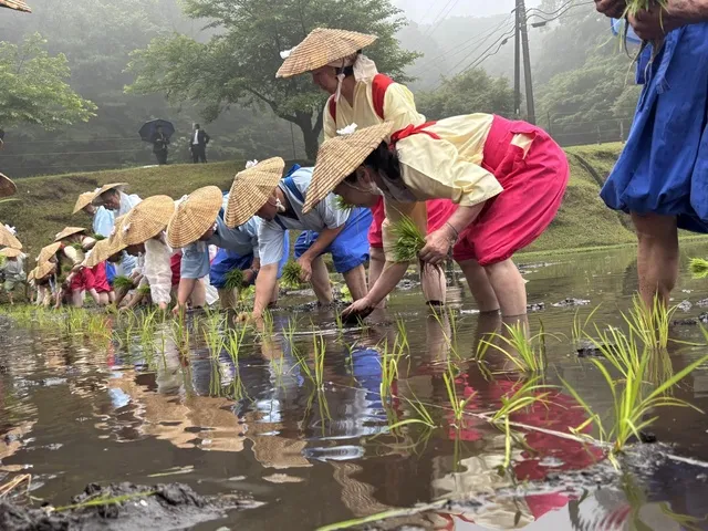 霧島神宮御田植え祭_1