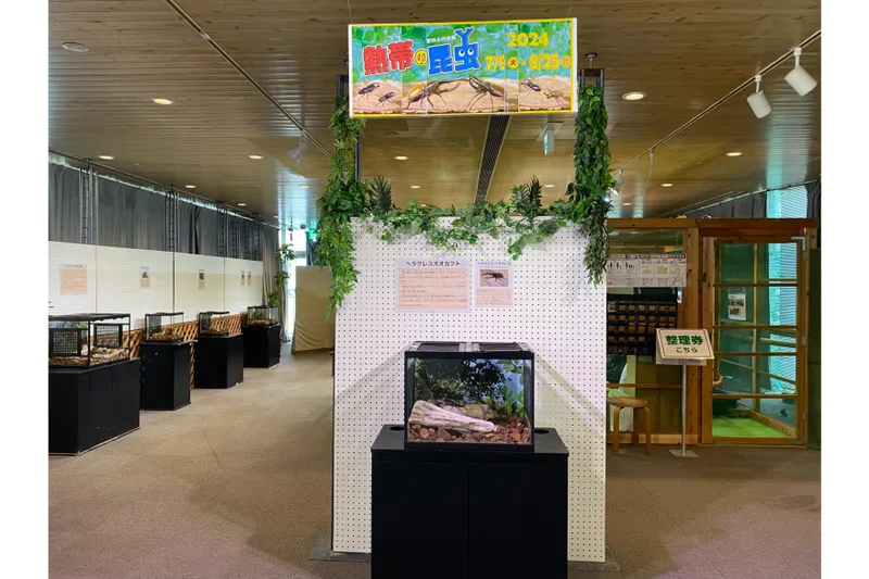 夏休み特別展 熱帯の昆虫2025年