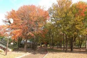 【紅葉・見ごろ】豊橋総合動植物公園　ハナノキ_1