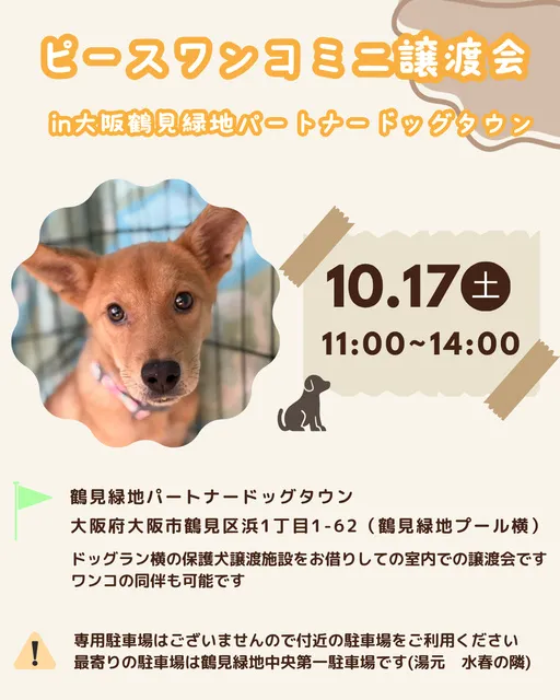 ミニ譲渡会in大阪鶴見緑地パートナードッグタウン（10月）_1
