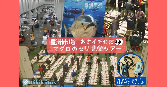 豊洲市場マグロのセリ見学ツアー 朝イチ4:55（7月）_1