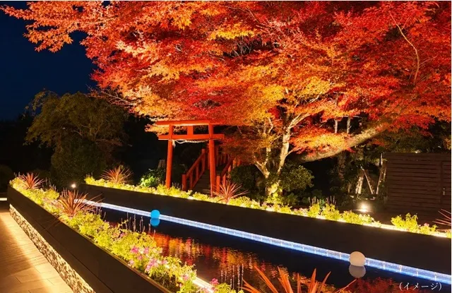 碧テラス煌めく紅葉ライトアップ＆駿河湾サンセット鑑賞2026_1