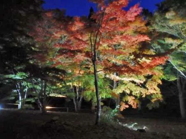 【紅葉・見ごろ】市民の森不習岳（ならわずだけ）_1