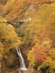 【紅葉・見ごろ】関温泉　不動滝_1
