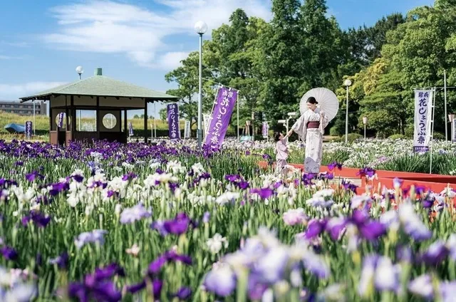 花しょうぶまつり_1