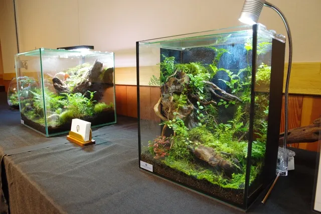 ふなばしアンデルセン公園「室内で楽しめるインドアガーデン」_1