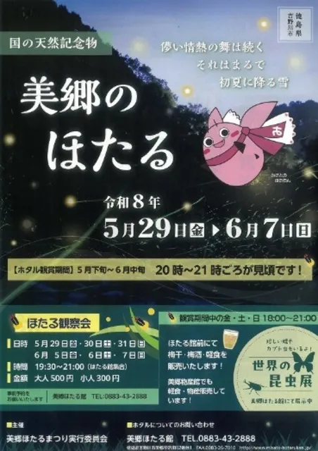 美郷のほたる観察会_1