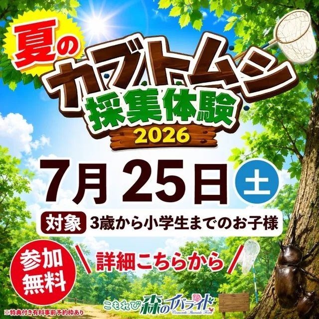 夏のカブトムシ採集体験2026_1