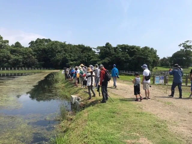 令和8年度　トンボ観察会_1