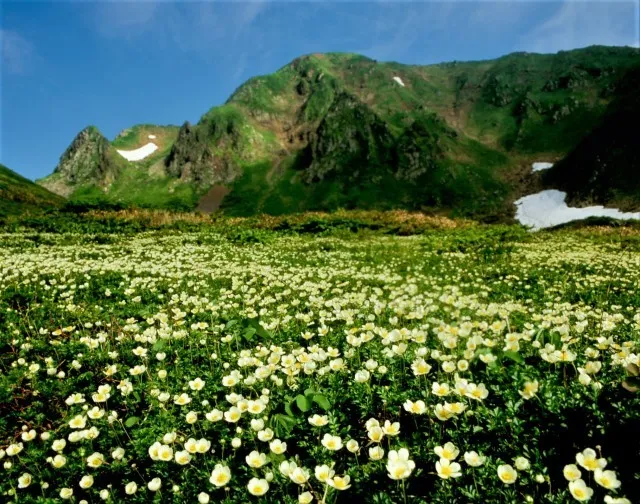 秋田駒ケ岳山開き_1