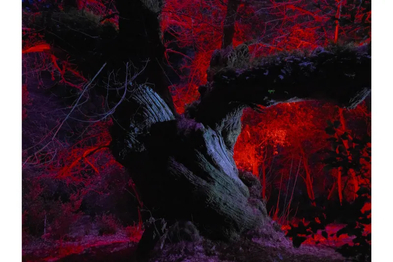 富士フイルム 企画写真展　GFX Challenge Grant Program 2024 〜Make Your Next Great Image〜