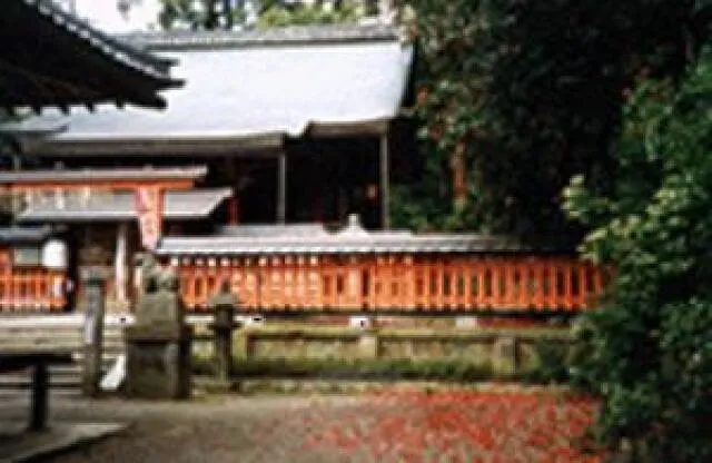 【紅葉・見ごろ】平岡八幡宮_1