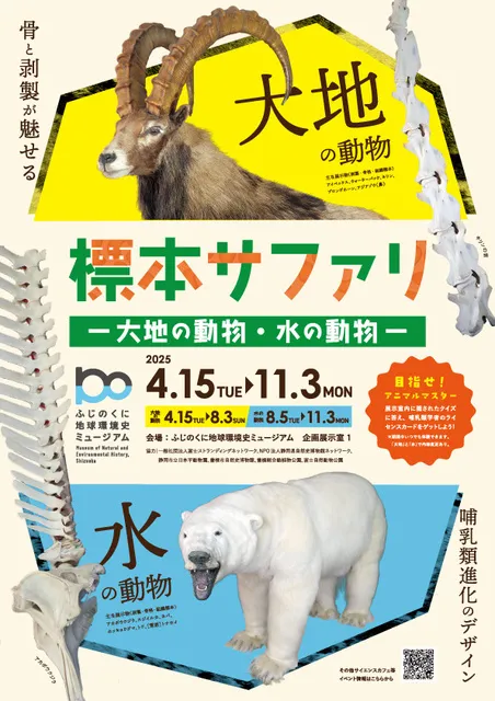 企画展「標本サファリー大地の動物・水の動物ー」（前期）_1