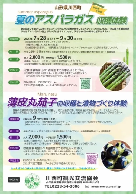 夏のアスパラガス収穫体験（川西町）_1