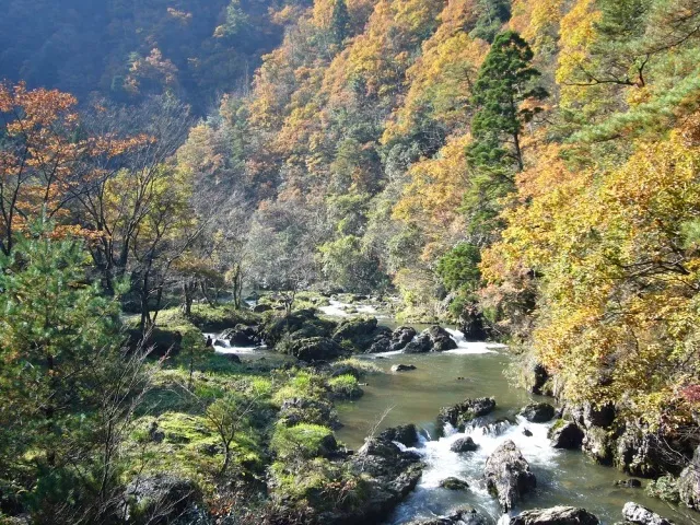 【紅葉・見ごろ】荒俣峡_1