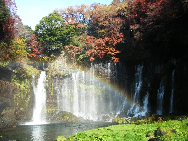 【紅葉・見ごろ】白糸の滝_1